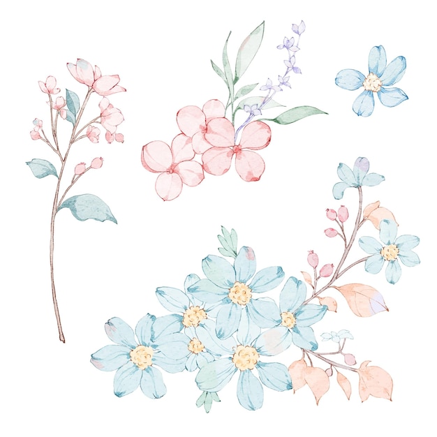 Watercolor flowers on a white background