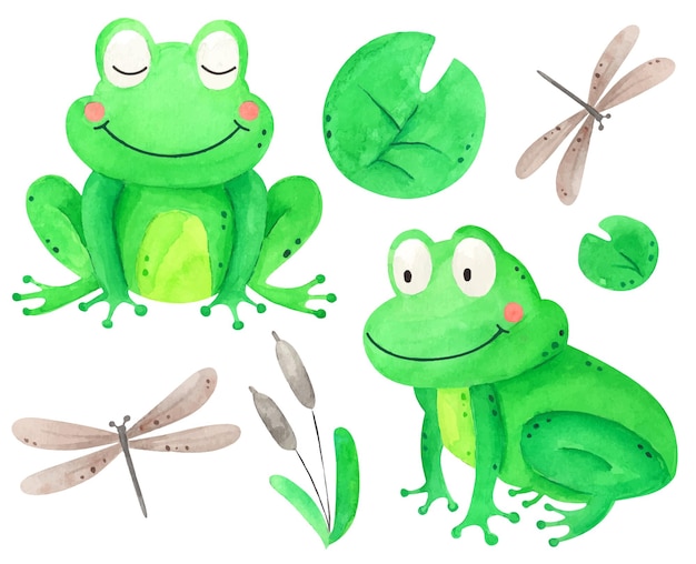 Watercolor frog set