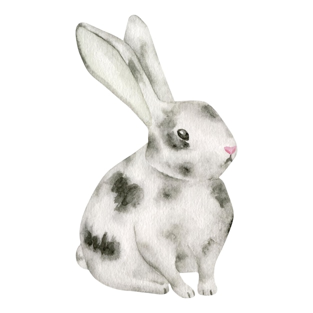 Watercolor gray spotted bunny cute rabbit illustration