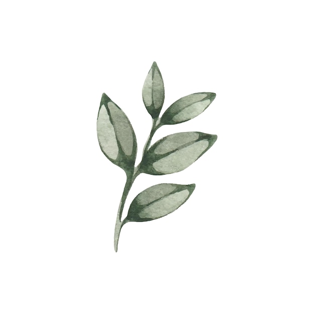 watercolor green branch with leaves