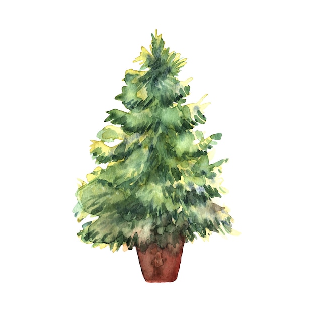 Watercolor green Christmas tree on white background Isolated ha