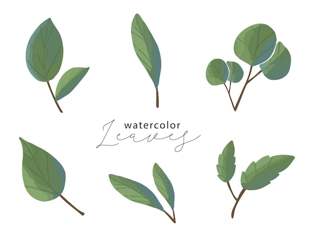 Watercolor green leaves illustration set Shape green leaf illustration clip art