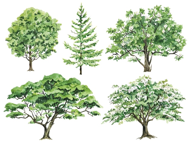 Watercolor green trees