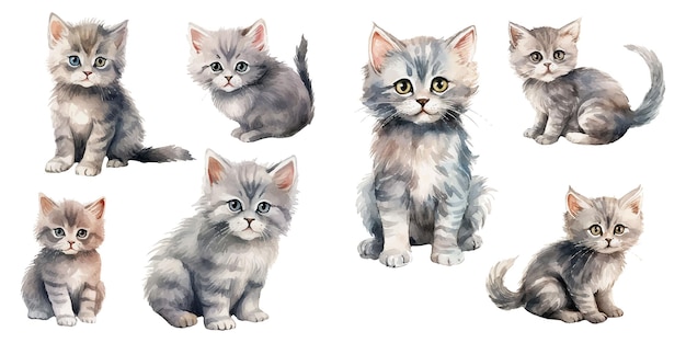 watercolor grey kitten clipart