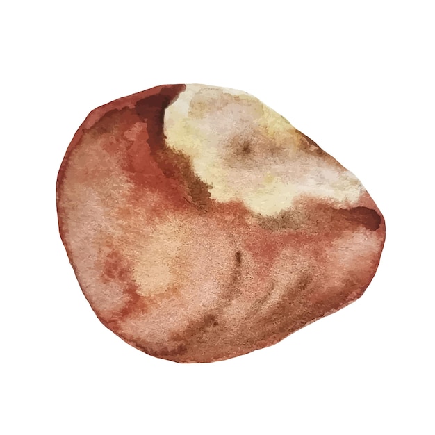 Watercolor hand drawn chestnut isolated on white background