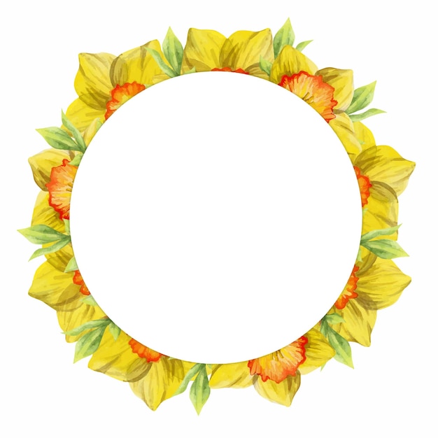 Watercolor hand drawn circle wreath with spring flowers daffodils crocus snowdrops leaves Isolated on white background Design for invitations wedding greeting cards wallpaper print textile