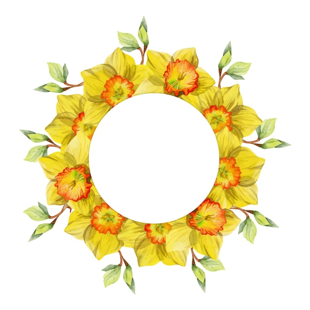 Watercolor hand drawn circle wreath with spring flowers daffodils crocus snowdrops leaves Isolated on white background Design for invitations wedding greeting cards wallpaper print textile