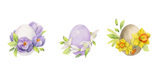 Watercolor hand drawn Easter celebration clipart Composition of painted eggs spring flowers leaves twig Isolated on white background Design for invitations gifts greeting cards print textile