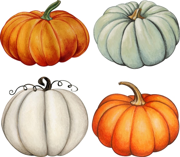 Watercolor hand drawn fall pumpkins