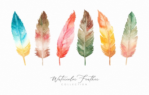 Watercolor hand drawn feathers collection