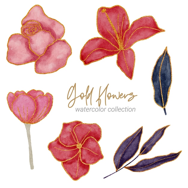 Watercolor hand drawn flowers and leaves set.