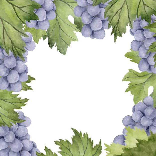 Watercolor hand drawn grape frame Wedding frame Wine grape bor