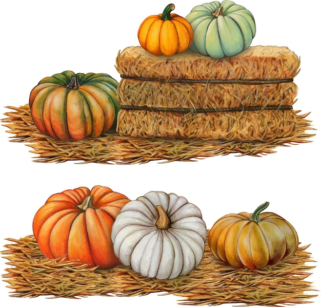 Watercolor hand drawn hay bales with pumpkins