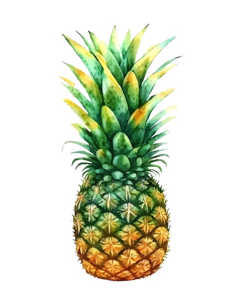 Watercolor hand drawn illustration of isolated pineapple fruit silhouette on a white background