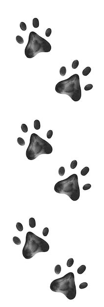 Watercolor hand drawn paw print on white