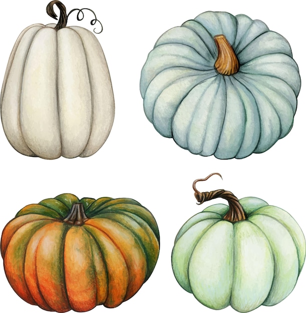 Watercolor hand drawn realistic pumpkin set