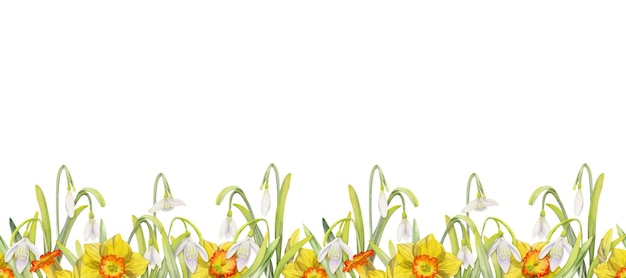 Watercolor hand drawn seamless border with spring flowers daffodils crocus snowdrops Isolated on white background Design for invitations wedding greeting cards wallpaper print textile