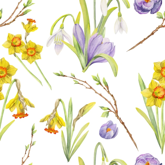 Watercolor hand drawn seamless pattern with spring flowers daffodils crocus snowdrops Isolated on white background Design for invitations wedding greeting cards wallpaper print textile