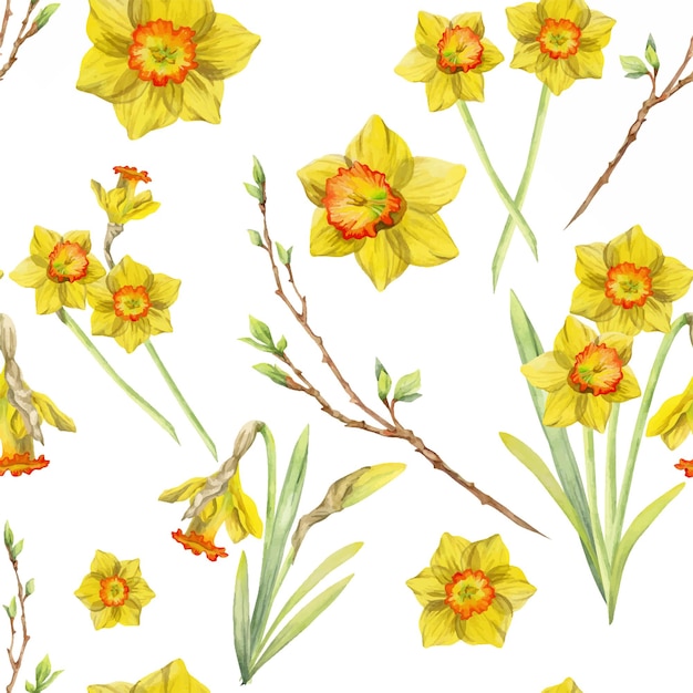 Watercolor hand drawn seamless pattern with spring flowers daffodils leaves stems branches Isolated on white background Design for invitations wedding greeting cards wallpaper print textile