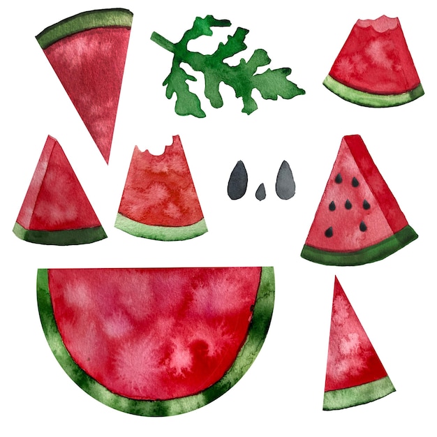 Watercolor hand drawn set of watermelon elements use foe clipart pattern background design