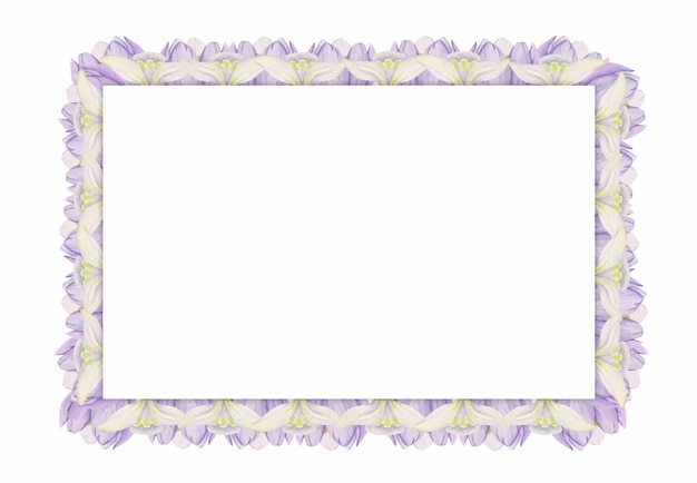 Watercolor hand drawn square frame with spring flowers crocus snowdrops branches leaves Isolated on white background Design for invitations wedding greeting cards wallpaper print textile