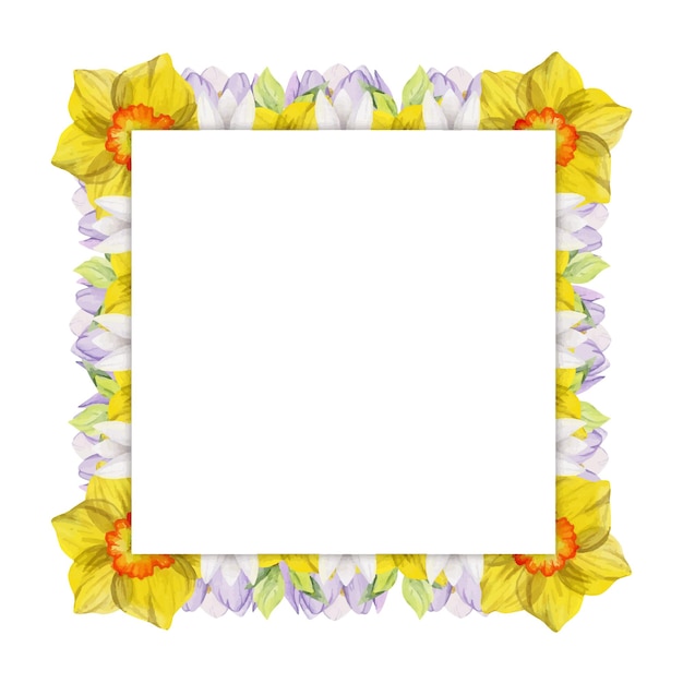 Watercolor hand drawn square frame with spring flowers crocus snowdrops daffodils leaves Isolated on white background Design for invitations wedding greeting cards wallpaper print textile