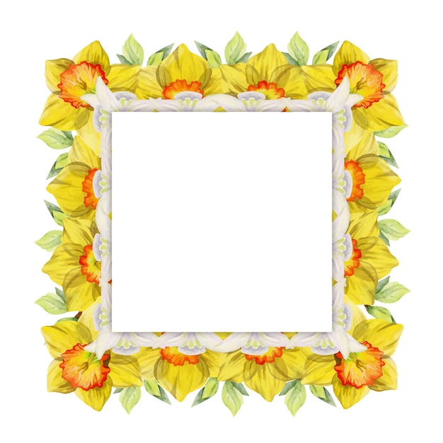 Watercolor hand drawn square frame with spring flowers daffodils snowdrops branches leaves Isolated on white background Design for invitations wedding greeting cards wallpaper print textile