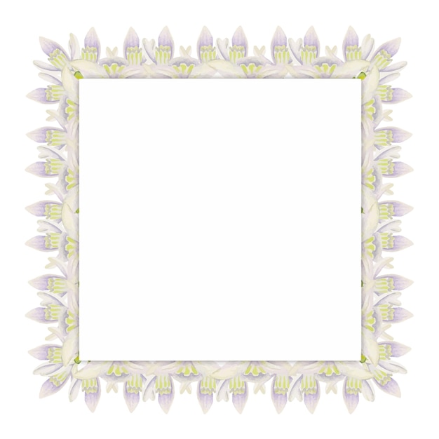 Watercolor hand drawn square frame with spring flowers snowdrops green fresh leaves Isolated on white background Design for invitations wedding greeting cards wallpaper print textile