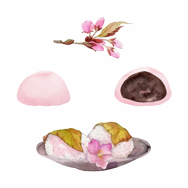 Vector watercolor hand drawn traditional japanese sweets spring wagashi sakura mochi daifuku cherry isolated on white background design for invitations restaurant menu greeting cards print textile