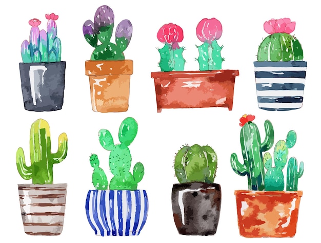 Watercolor Hand Painted Cactus Set