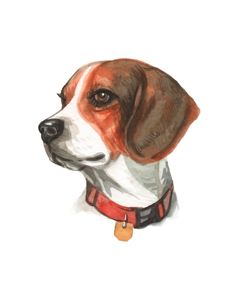 Watercolor hand painted cute dog illustration  