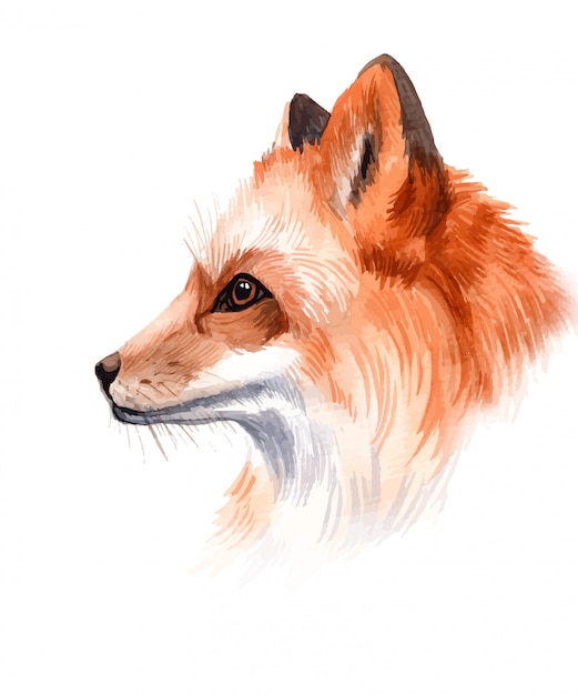 Watercolor hand painted fox