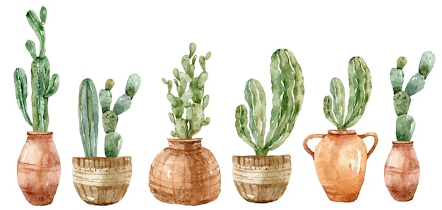 Watercolor hand painted potted cacti set can be used for wedding invitations sublimations prints