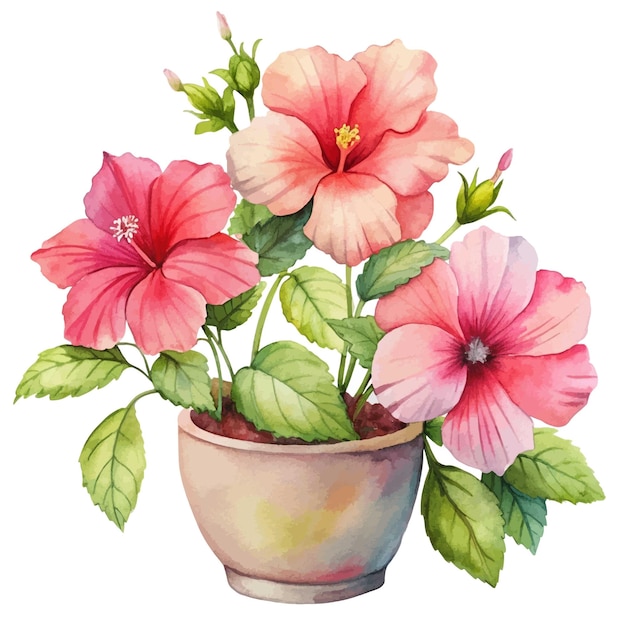 Watercolor Hibiscus Bloom