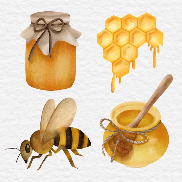 Watercolor honey collection illustration