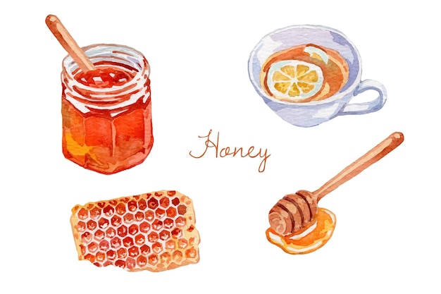 Vector watercolor honey elements with honey jam and tea