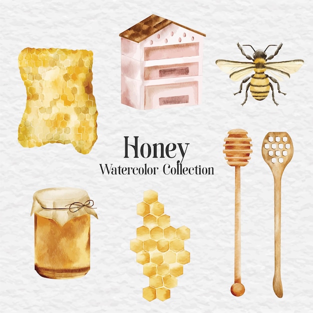 Watercolor honey farm clip art illustration