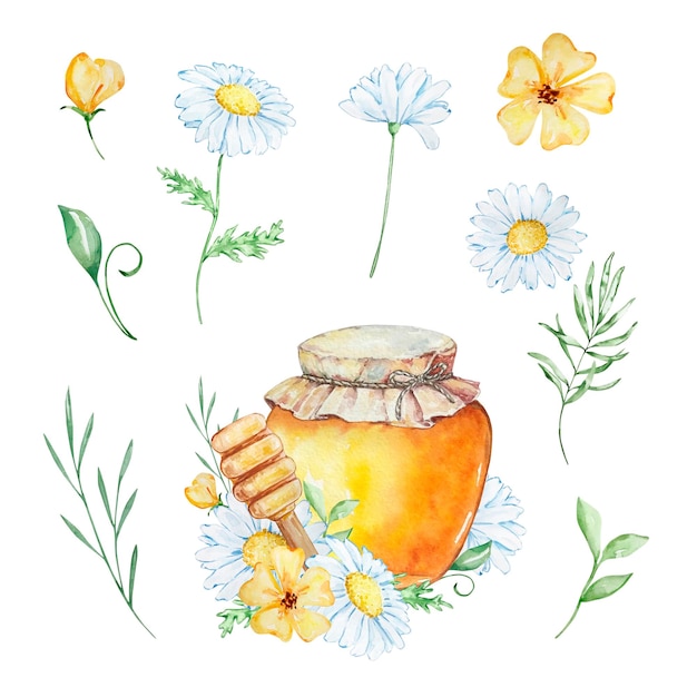 Watercolor honey set honey jar daisies and flowers