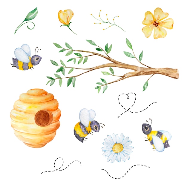 Watercolor honey set tree branch beehive flowers and bees