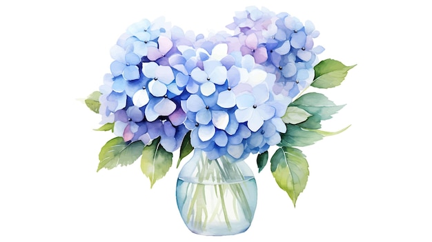 Watercolor hydrangea flowers with vase isolated on white background