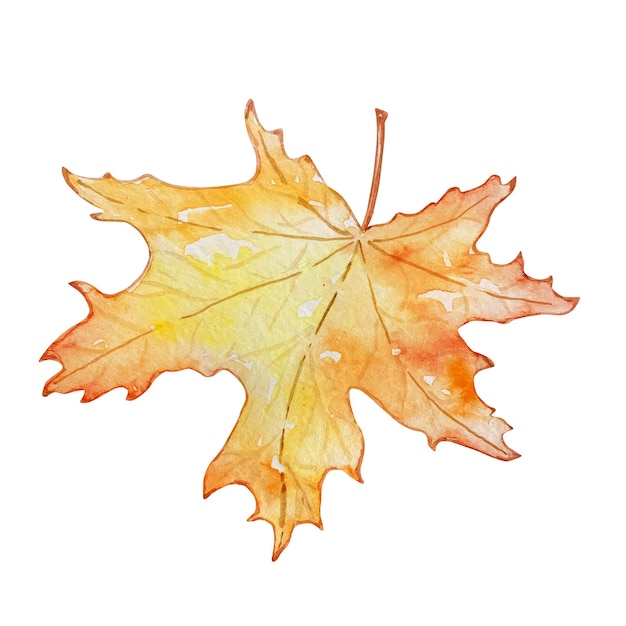 Watercolor illustration autumn leaf