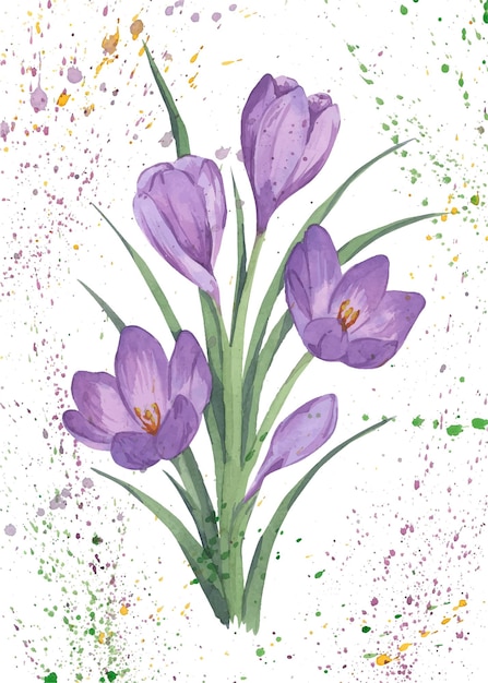 Watercolor illustration of a bouquet of crocuses