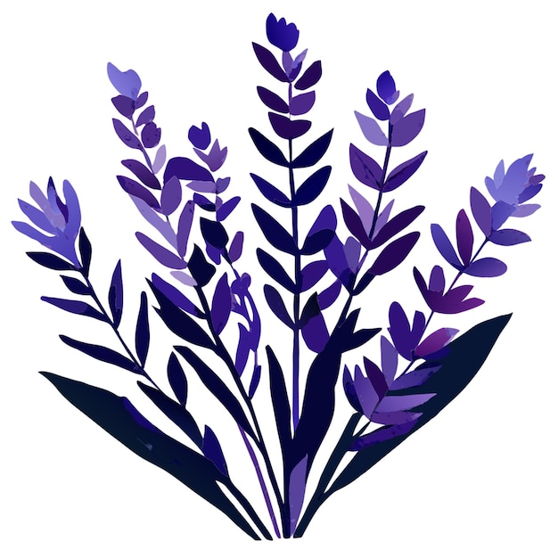 watercolor illustration bouquet of lavender vector illustration