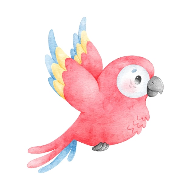 Watercolor illustration of a cartoon parrot Tropical birds Cute watercolor animals