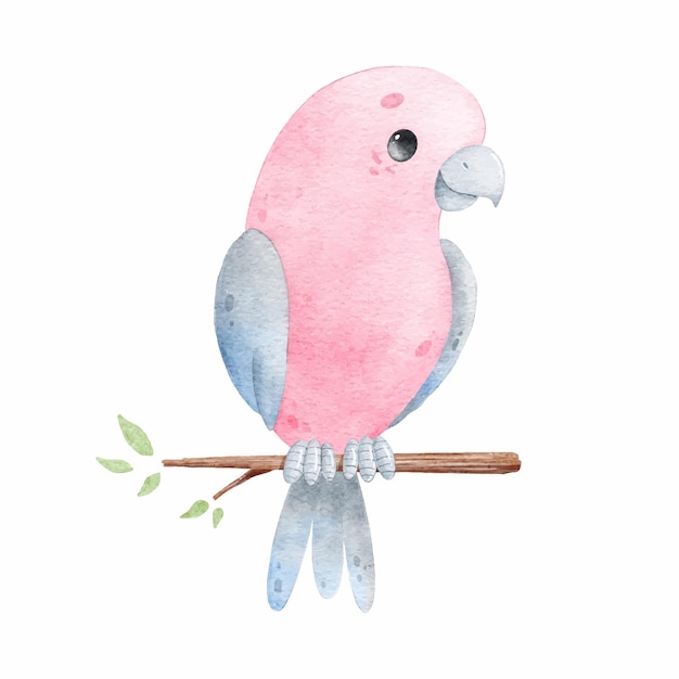 Watercolor illustration of a cartoon parrot Tropical birds Cute watercolor animals