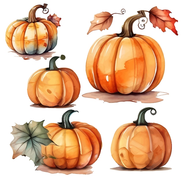 Watercolor illustration collection of autumn pumpkin