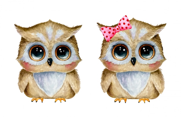 Watercolor illustration of cute cartoon owls boy and girl set isolated  