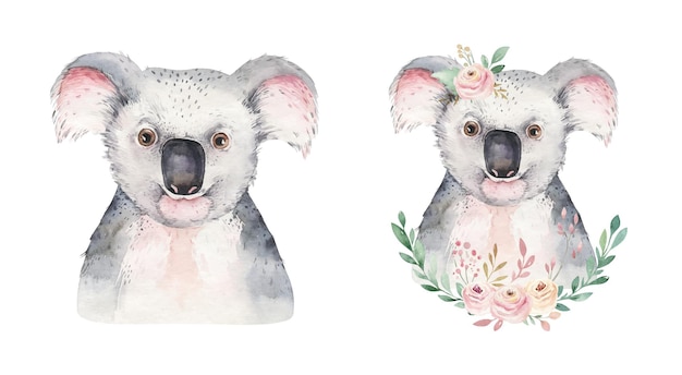 Watercolor illustration Cute Koala bear peeking out from behind the leaves of eucalyptus