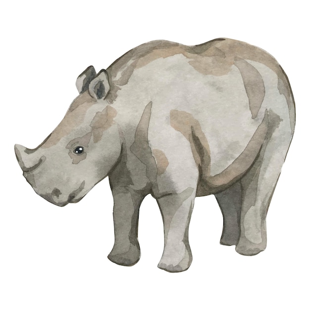 Watercolor illustration depicting a rhinoceros isolated element