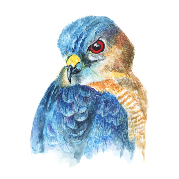 Watercolor illustration of eagle head with bright eye colorful blue blue and brown feathers